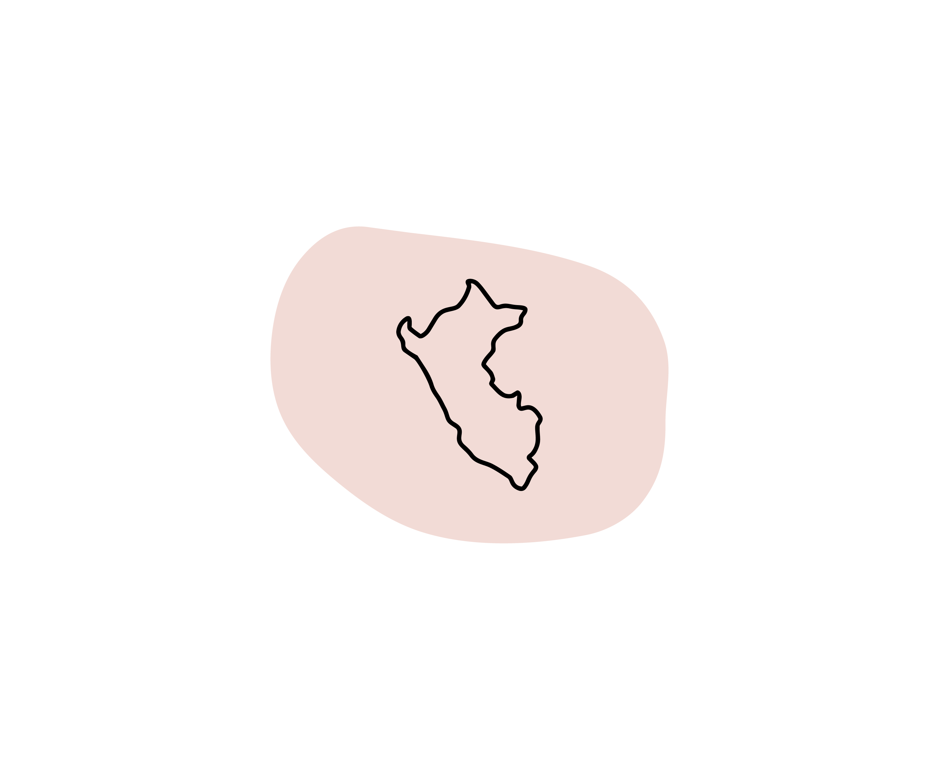 DISEÑADO EN PERÚ